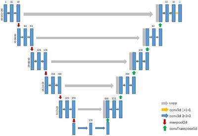 Esophageal cancer detection via non-contrast CT and deep learning